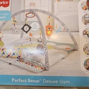 Fisher-Price Perfect Sense Play Gym with Colorful Toys used